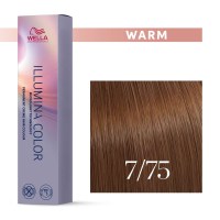 Illumina Color 7 75 